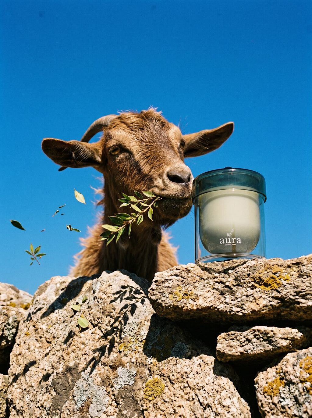 Corsica scented candle — island editorial scene