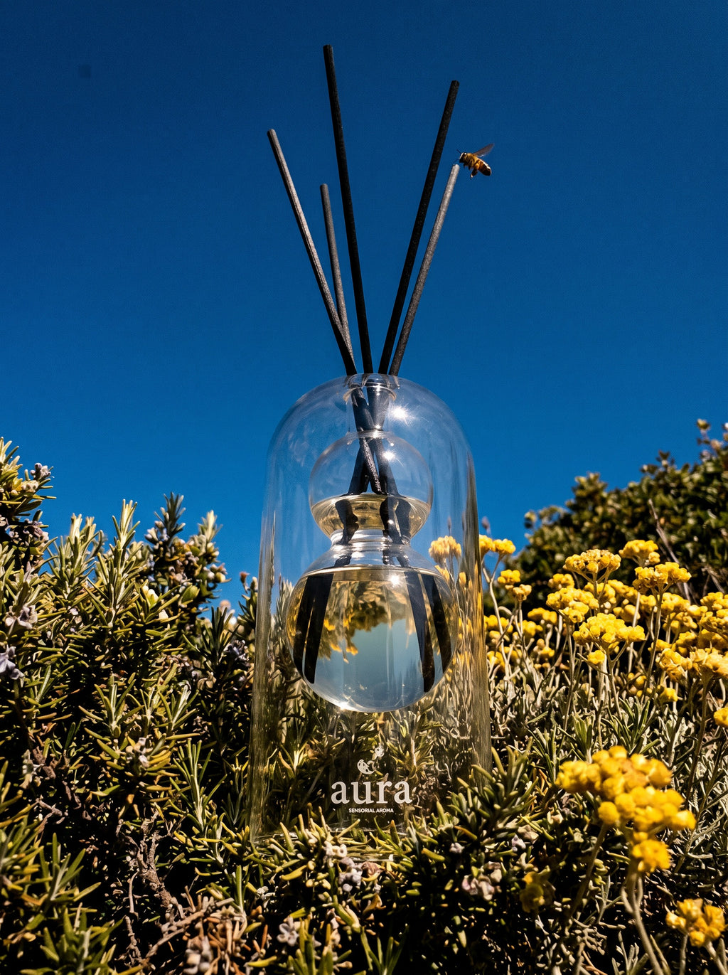Corsica reed diffuser — warm bold still life