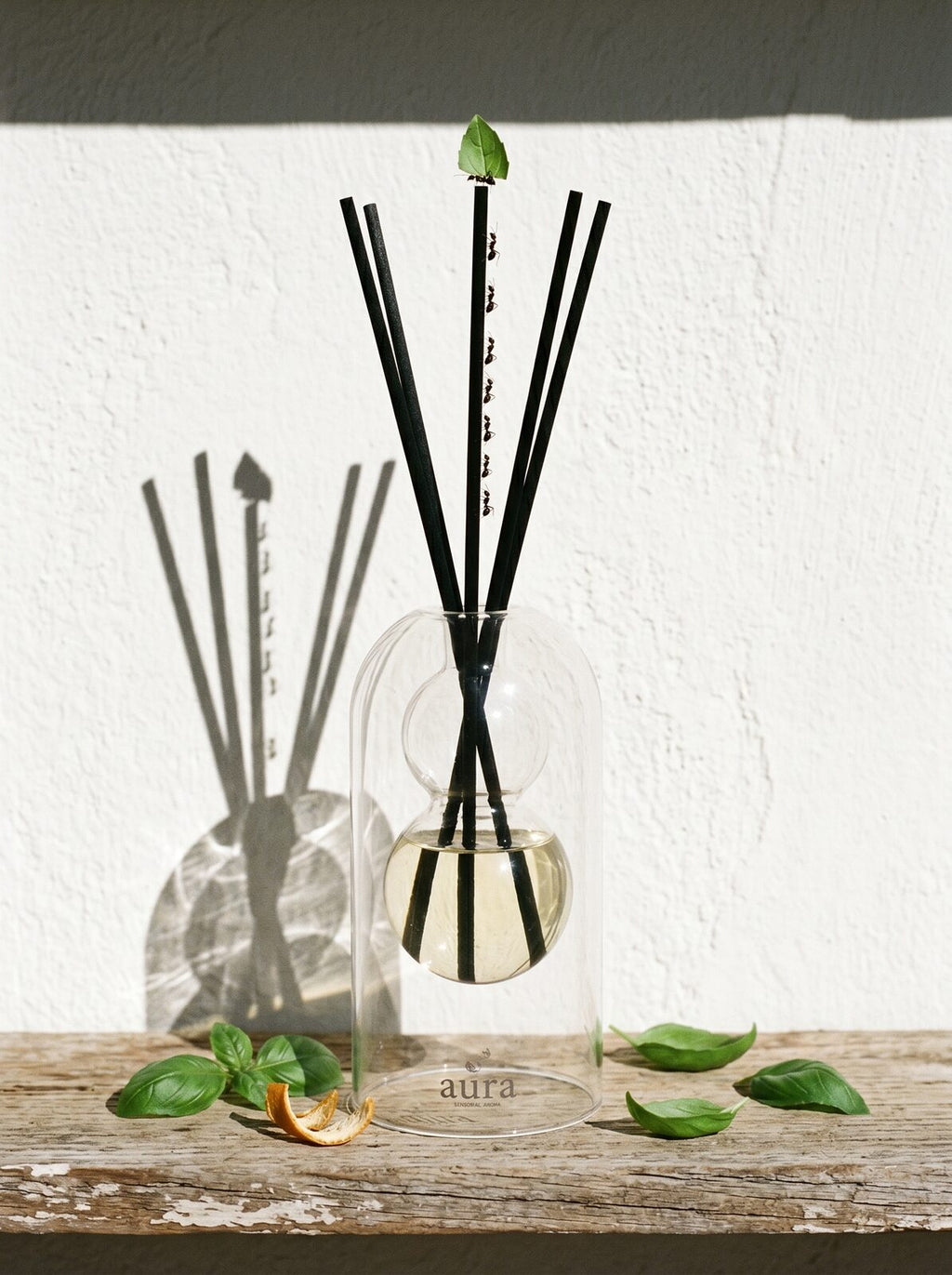 Ponza reed diffuser — bright summery still life