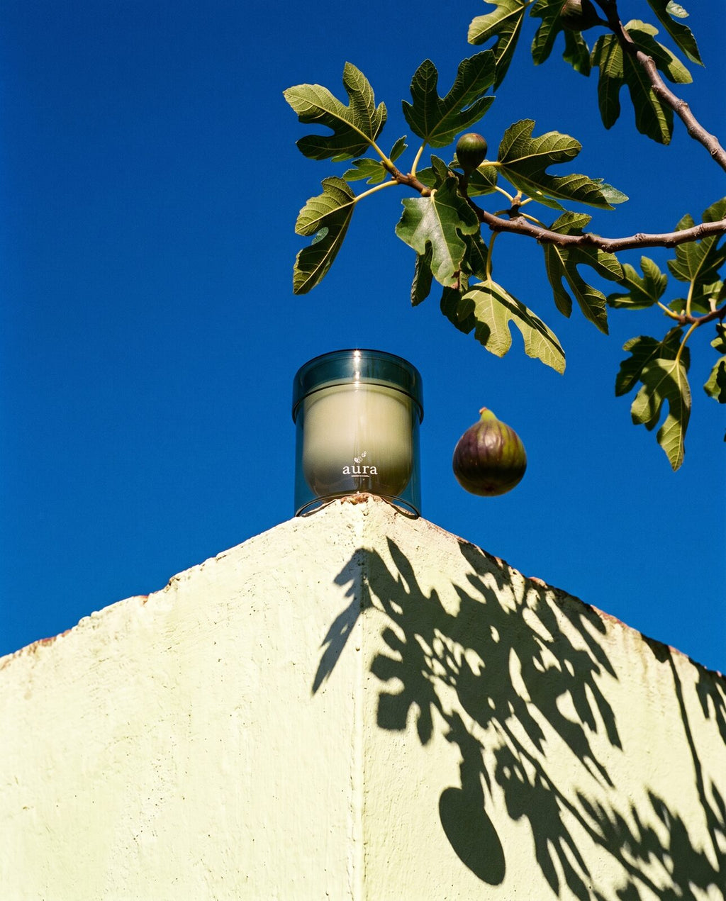 Capri candle — fresh green still life