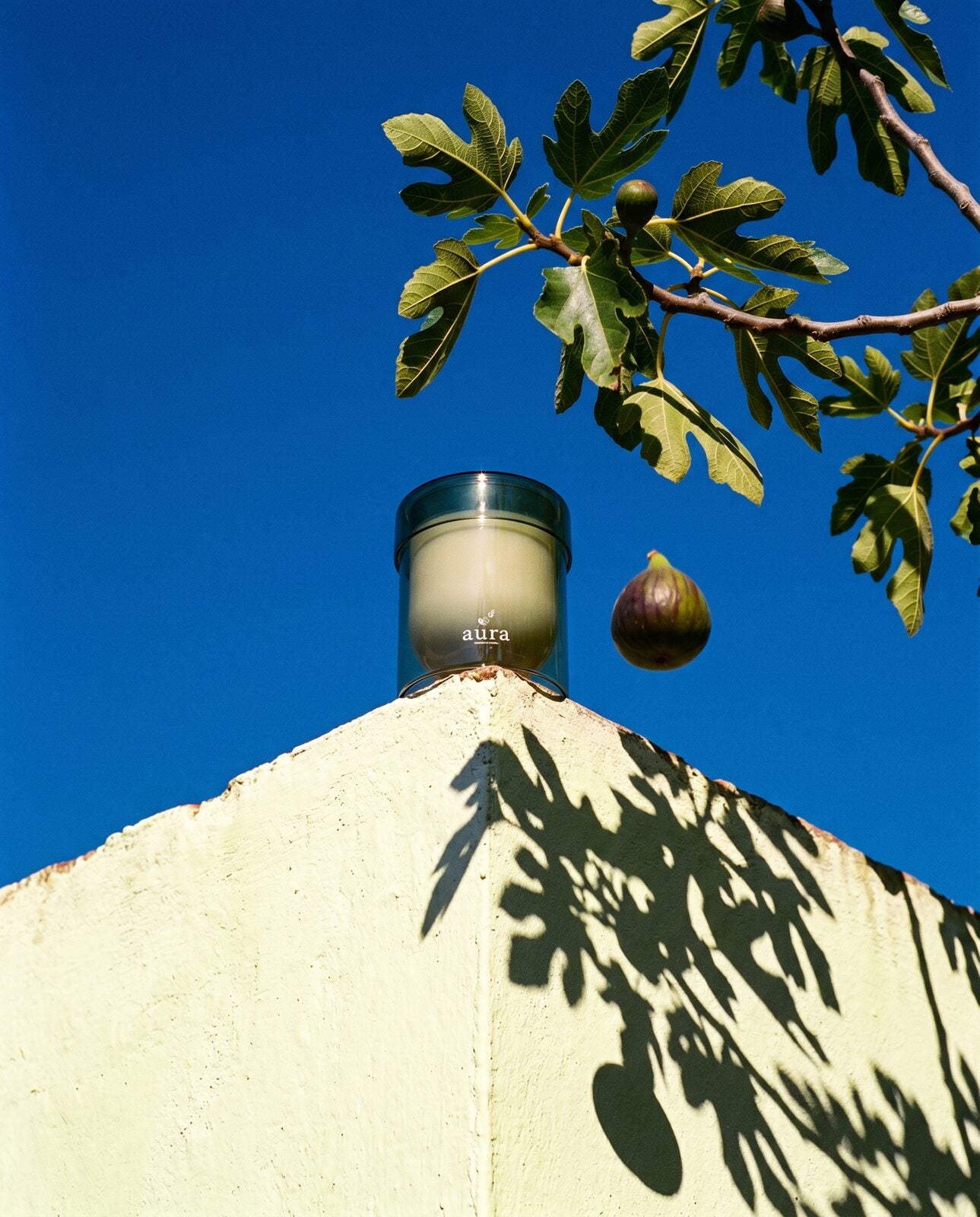 Capri candle — fresh green still life