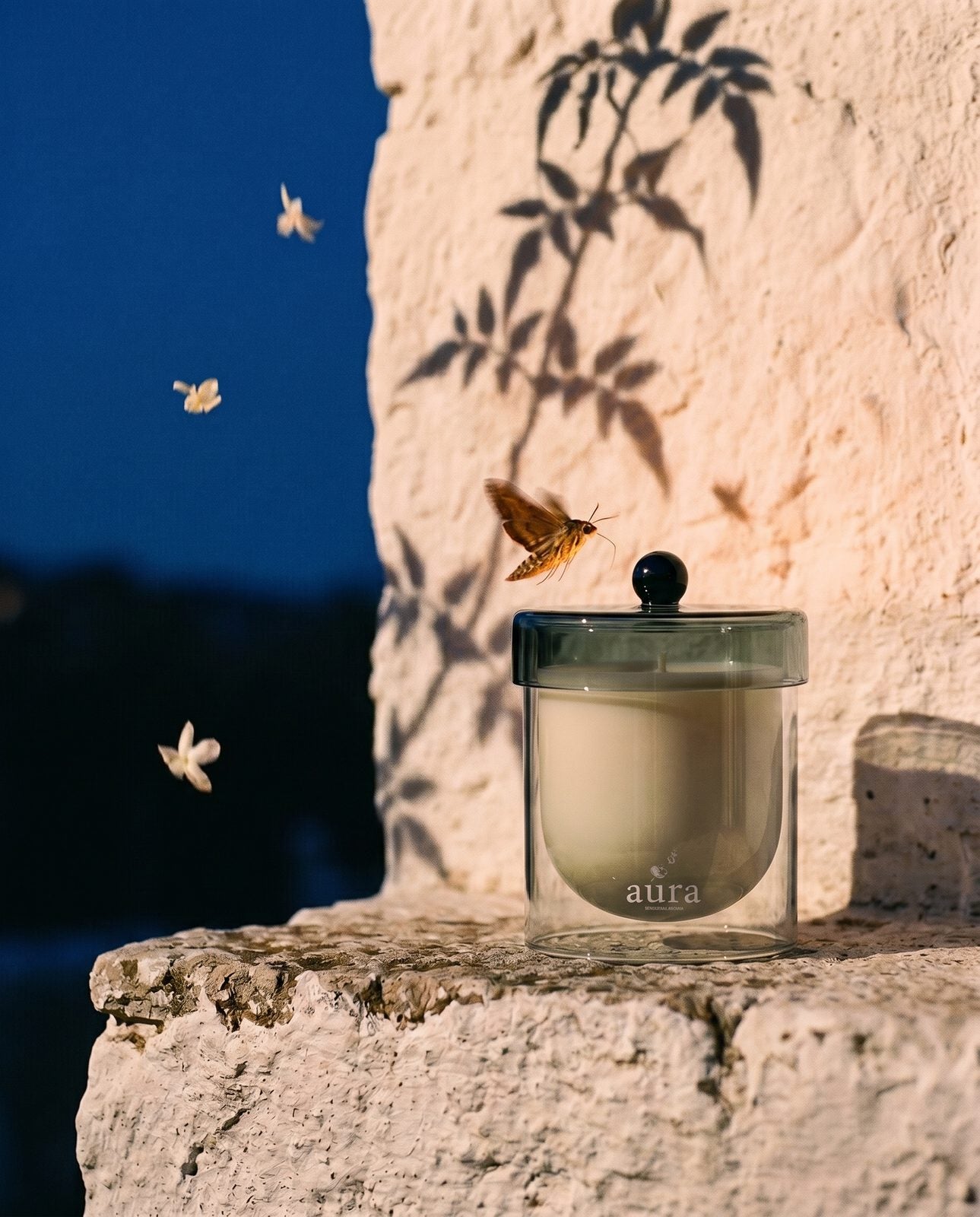 Sicilia candle — romantic floral still life