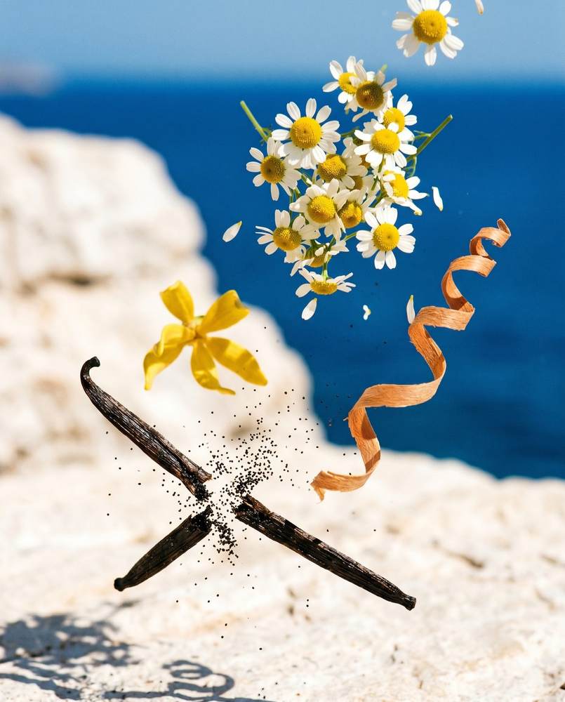 Bella — chamomile, ylang ylang and sandalwood ingredients