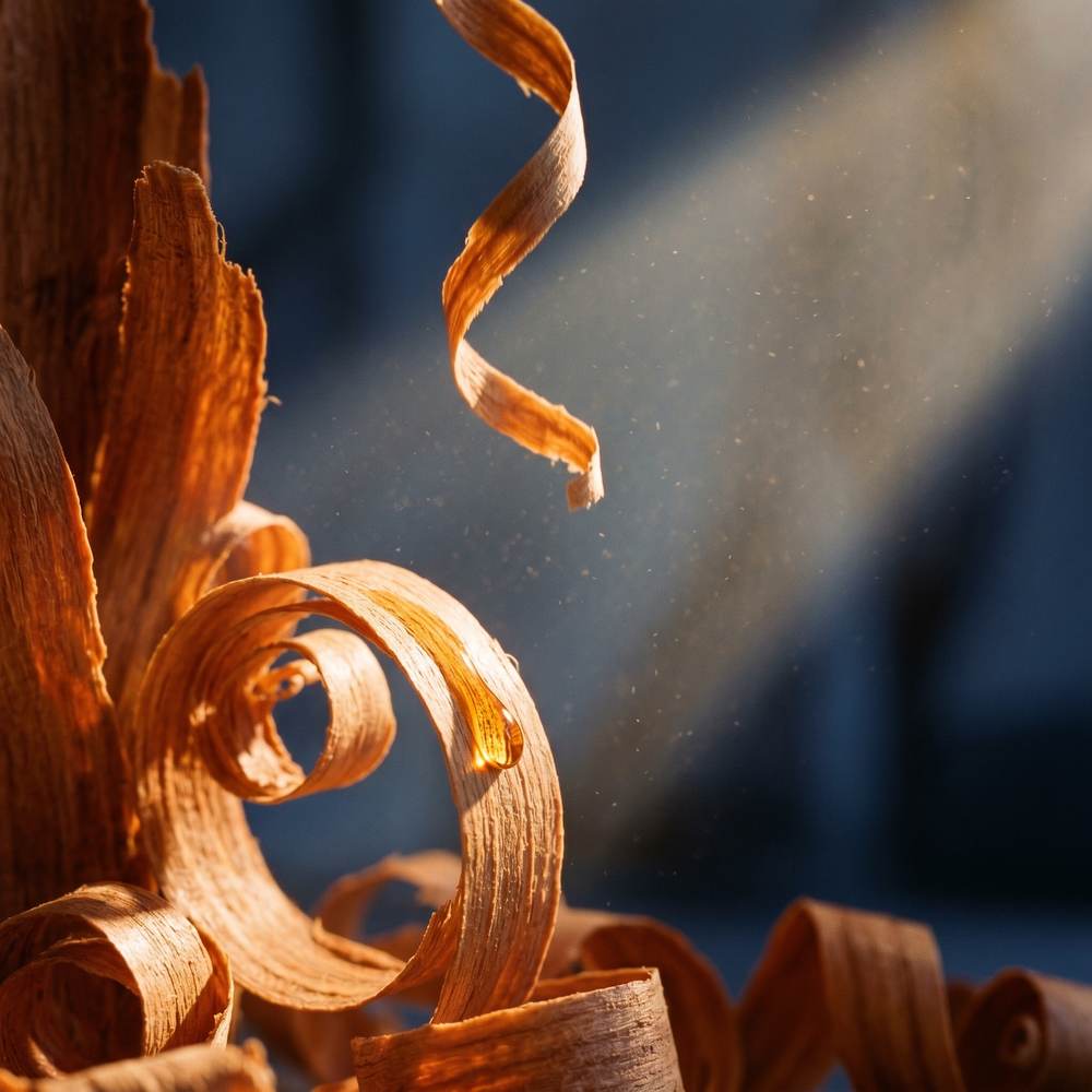 Unwind Better — white sandalwood macro detail