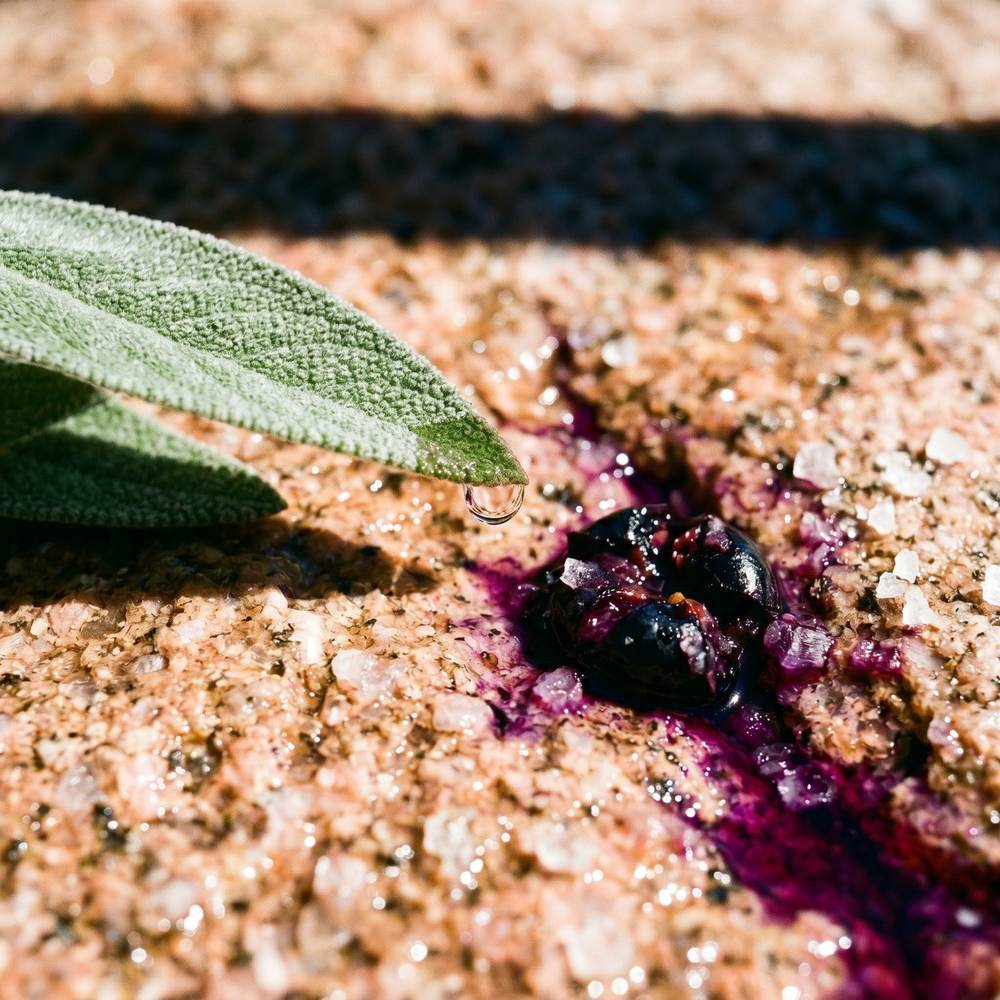 Sardegna — bergamot and wild sage macro detail