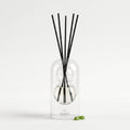 Ponza reed diffuser — clear glass vessel with fiber reeds