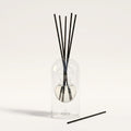 Marseille reed diffuser — clear glass vessel with fiber reeds