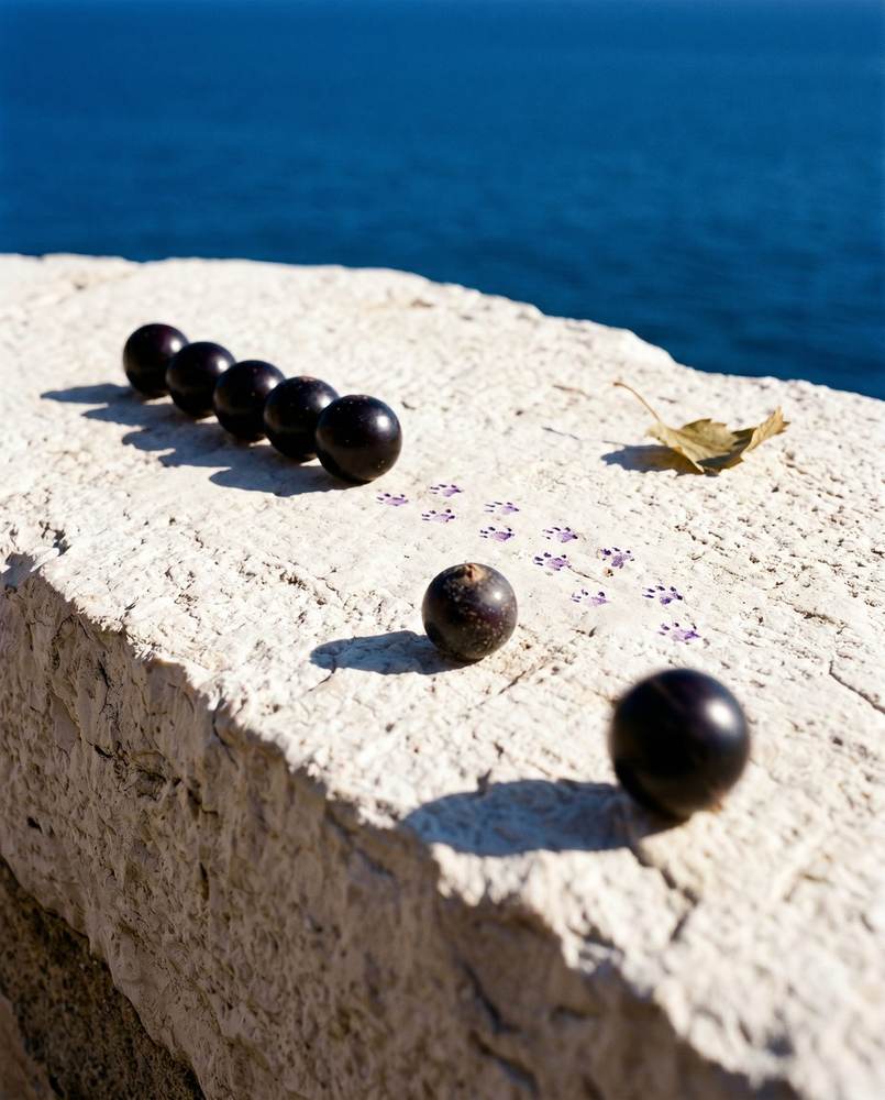Cassis — garden-fresh Riviera lifestyle still life